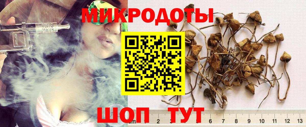 Галлюциногенные грибы мухоморы Удомля